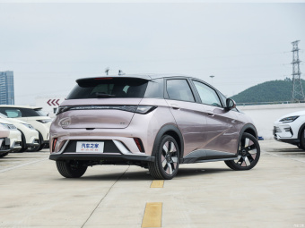 BYD Dolphin Knight 401КM