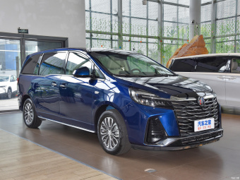 Buick GL8 Premium Welfare