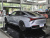 Neta S Large 650km AWD